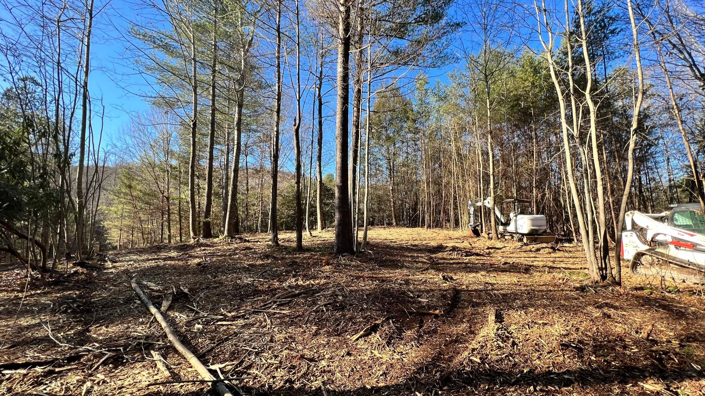 Cabin Creek Rd, Hays, NC 28635 MLS 1094985 LandWatch