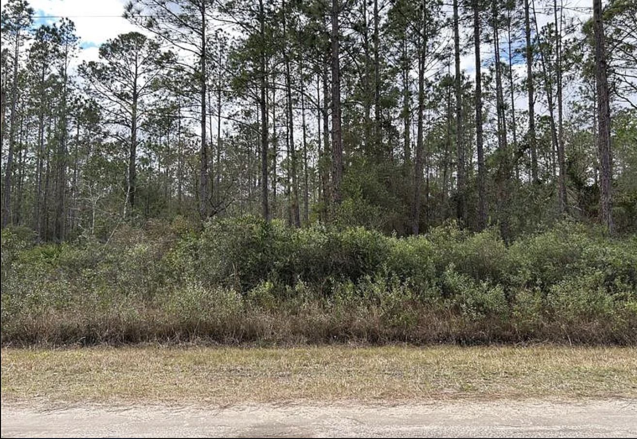 Hastings, Saint Johns County, FL Undeveloped Land, Horse Property