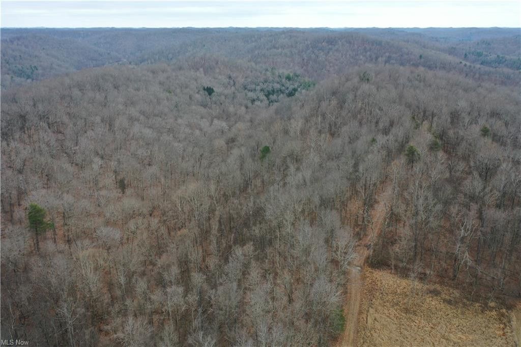 Arnoldsburg, Calhoun County, WV Undeveloped Land for sale Property ID