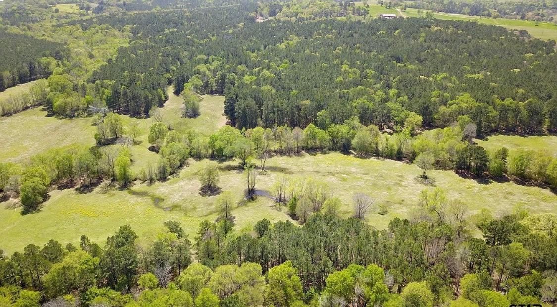 00 County Road 3115, Frankston, TX 75763 LandWatch