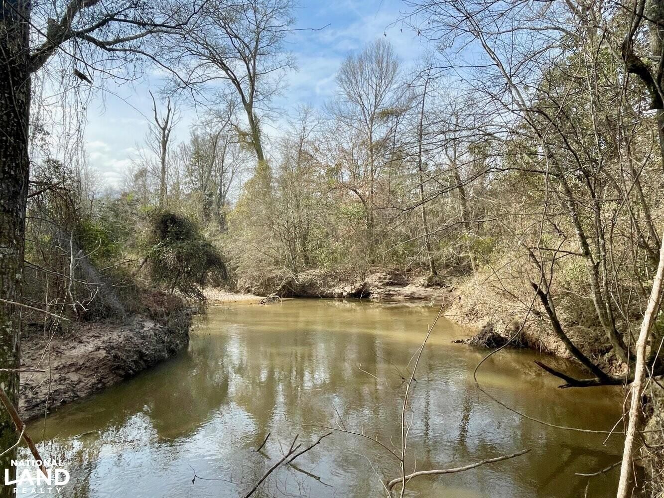 Little Rock, Newton County, MS Recreational Property, Timberland