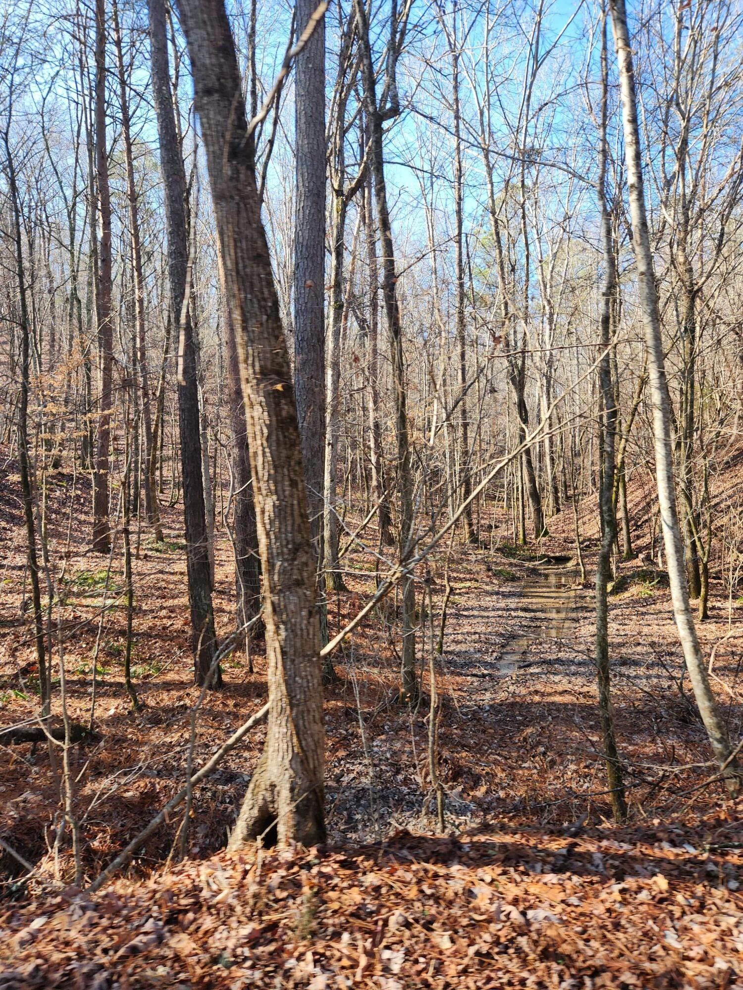 Chickamauga, Walker County, GA Farms and Ranches for sale Property ID