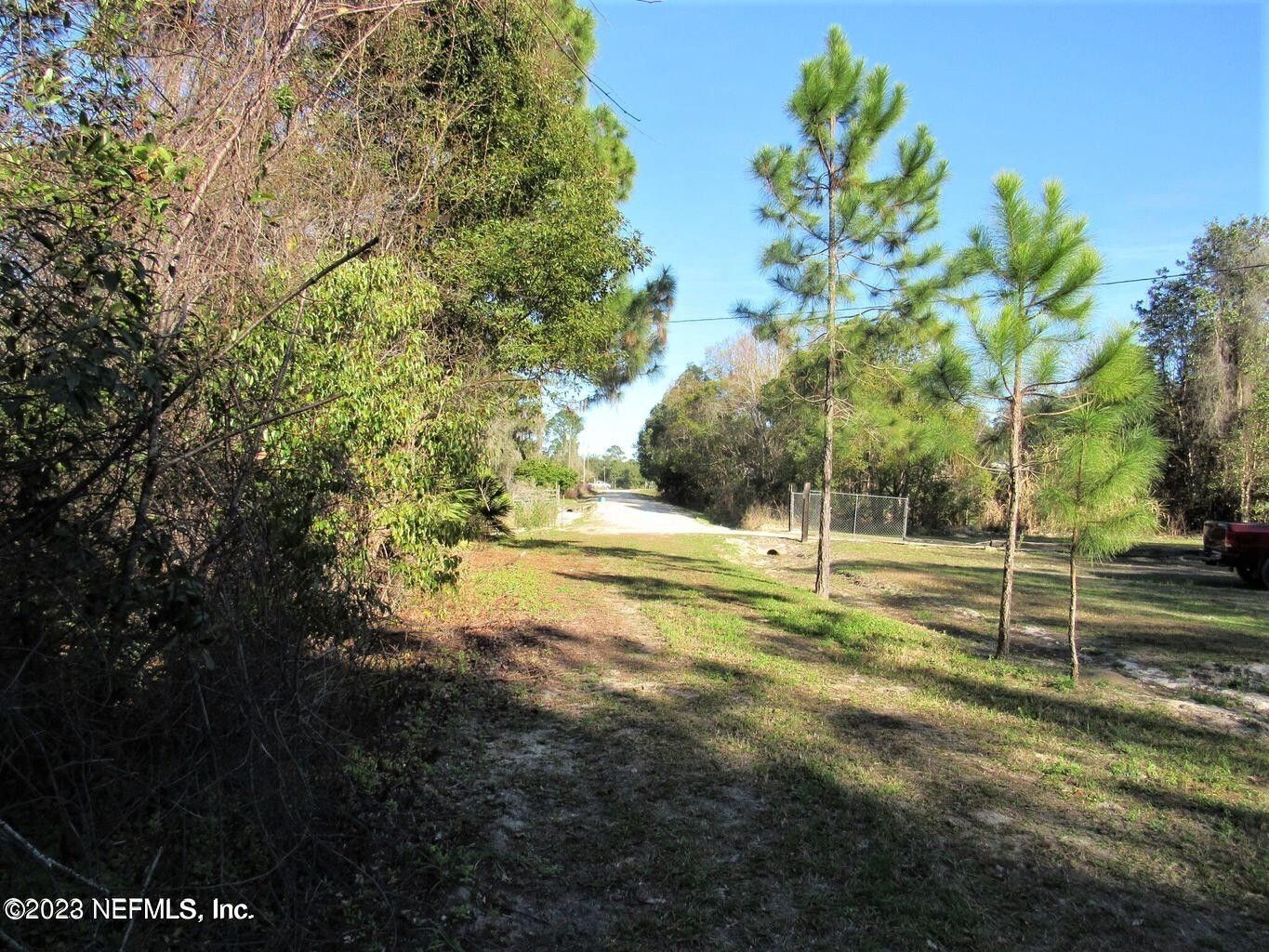 Crescent City, Putnam County, FL Undeveloped Land for sale Property ID