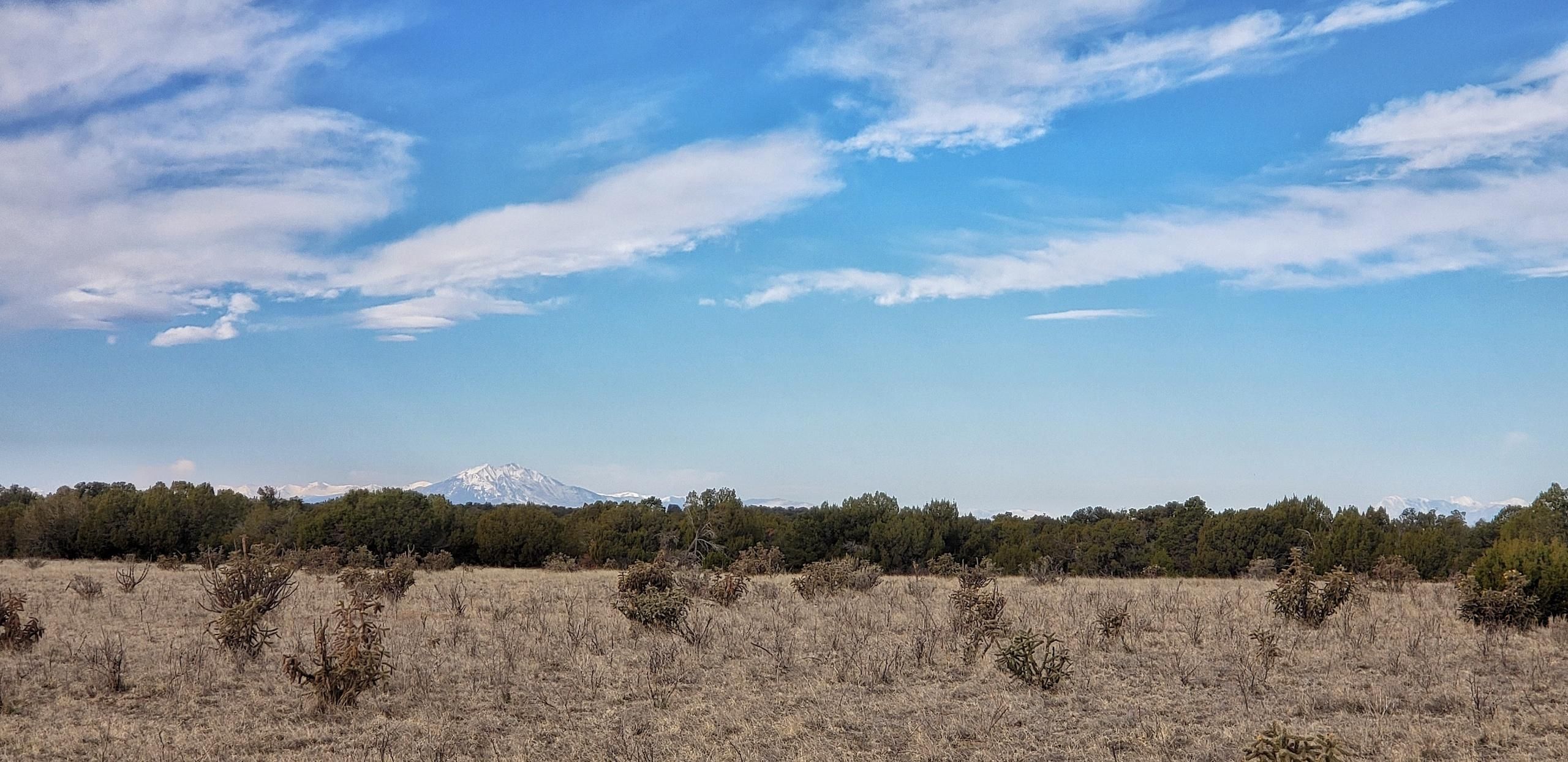 Model, Las Animas County, CO Farms and Ranches, Hunting Property for