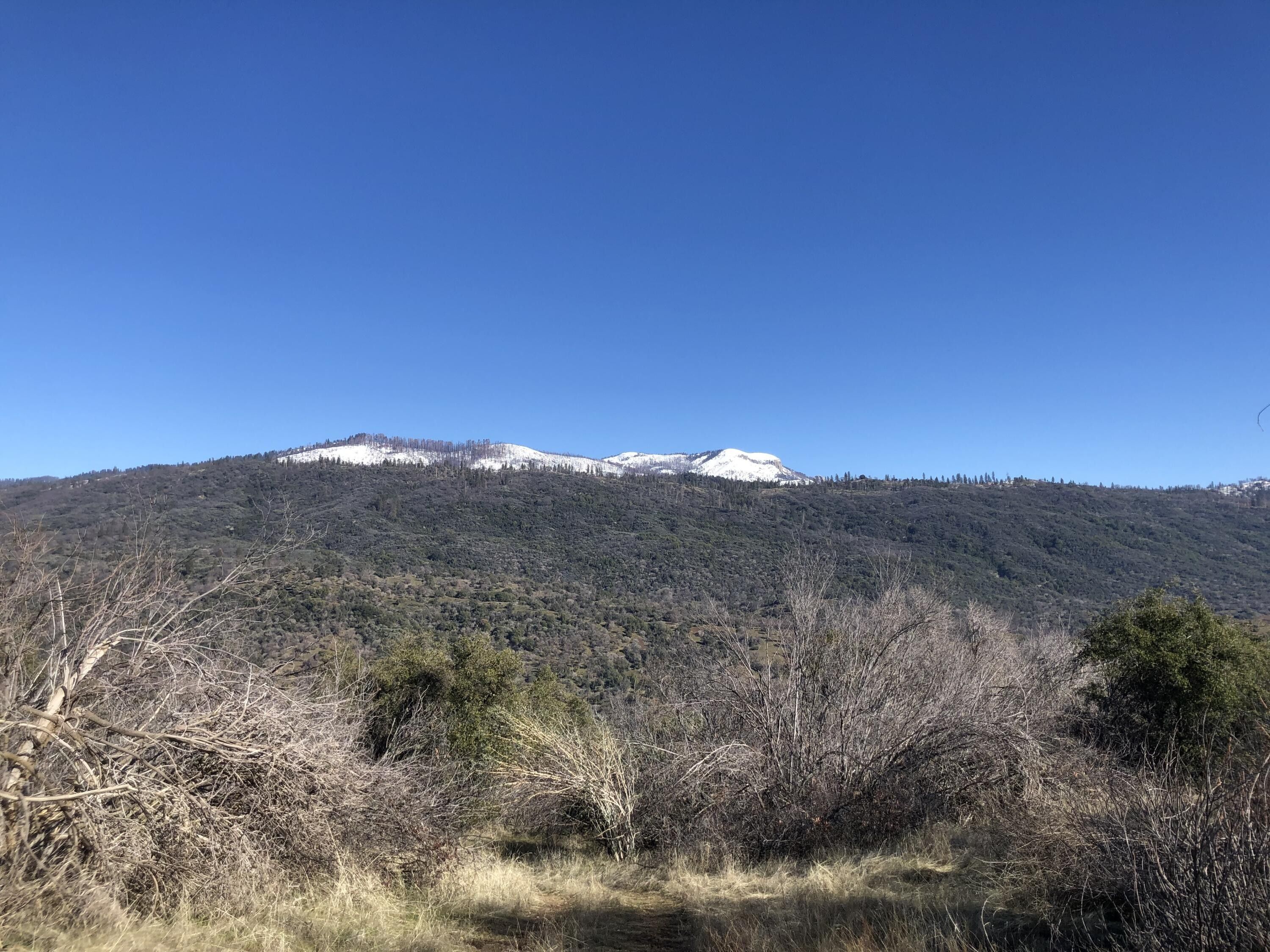 Badger, Tulare County, CA Undeveloped Land, Homesites for sale Property