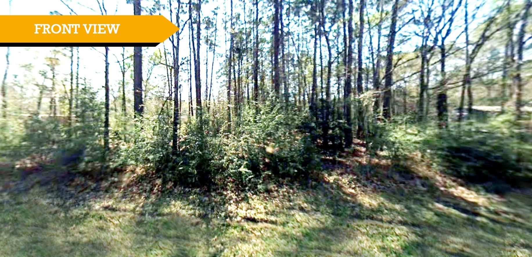 Livingston, Polk County, TX Recreational Property, Undeveloped Land