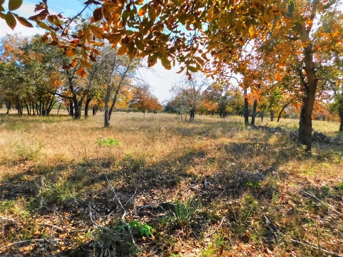Natalia, Medina County, TX Recreational Property, Undeveloped Land for