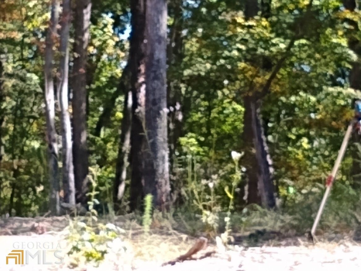 Rome, Floyd County, GA Undeveloped Land for sale Property ID 415679565