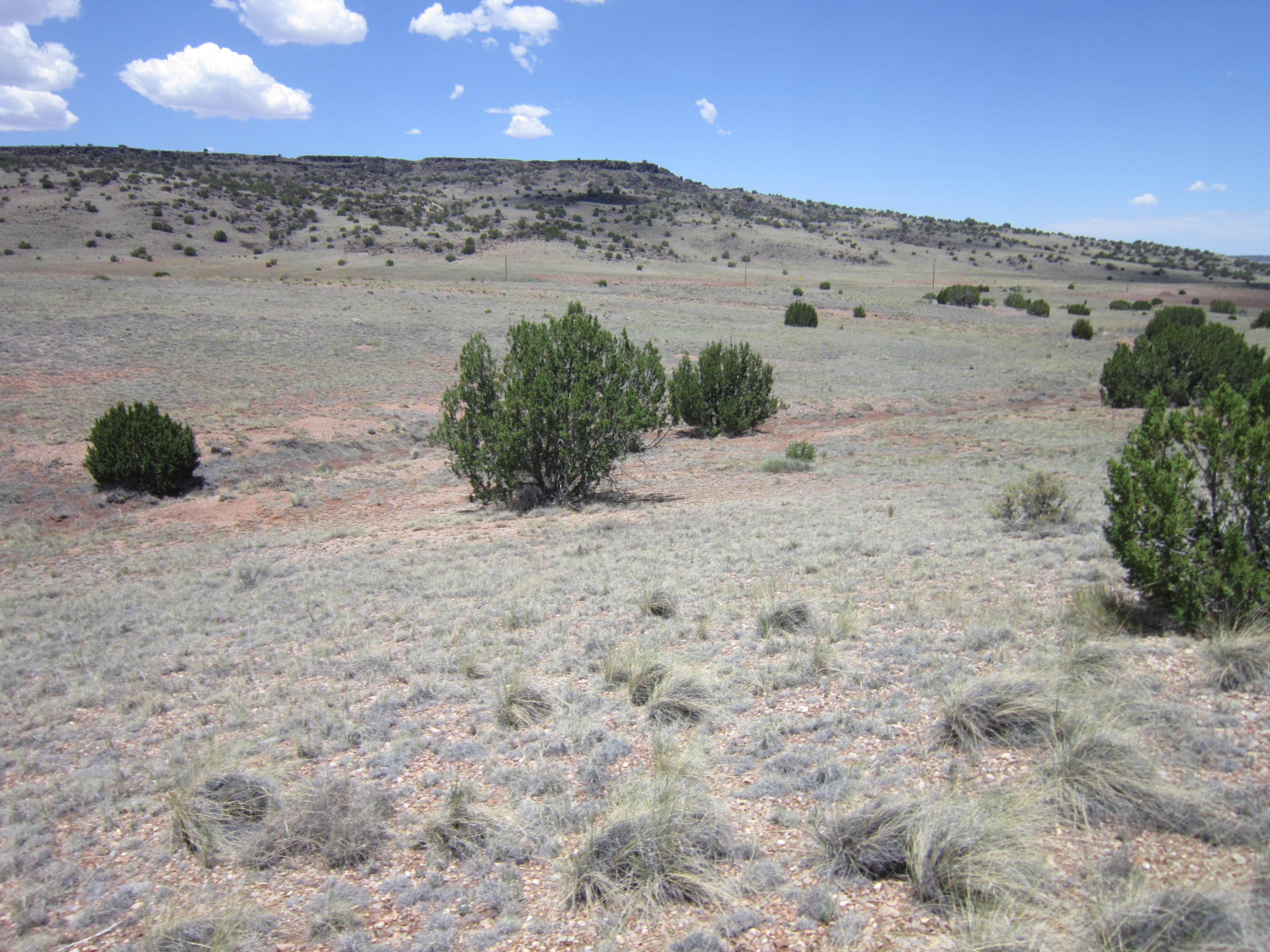 Saint Johns, Apache County, AZ Recreational Property, Undeveloped Land
