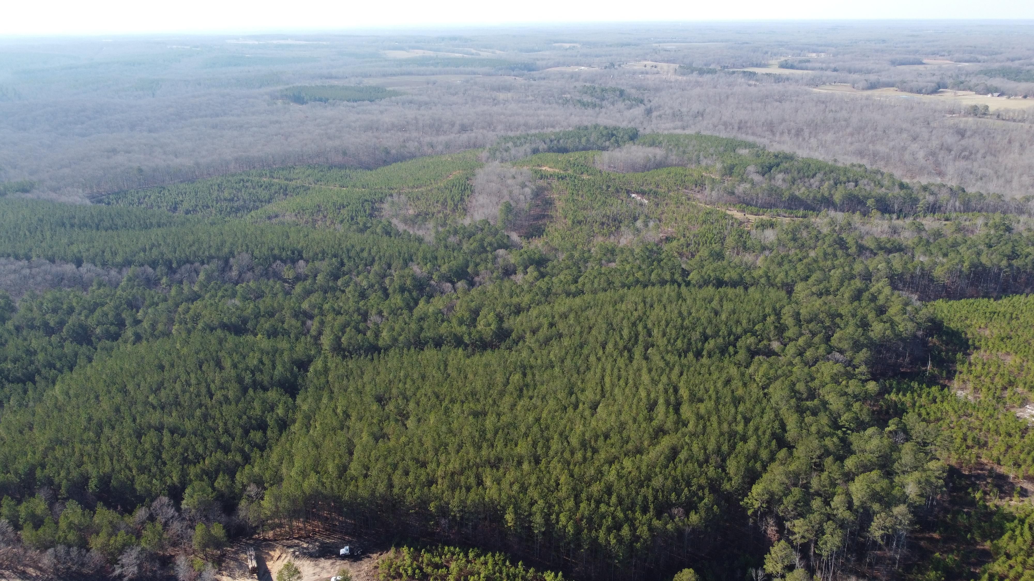 Big Sandy, Benton County, TN Recreational Property, Timberland Property