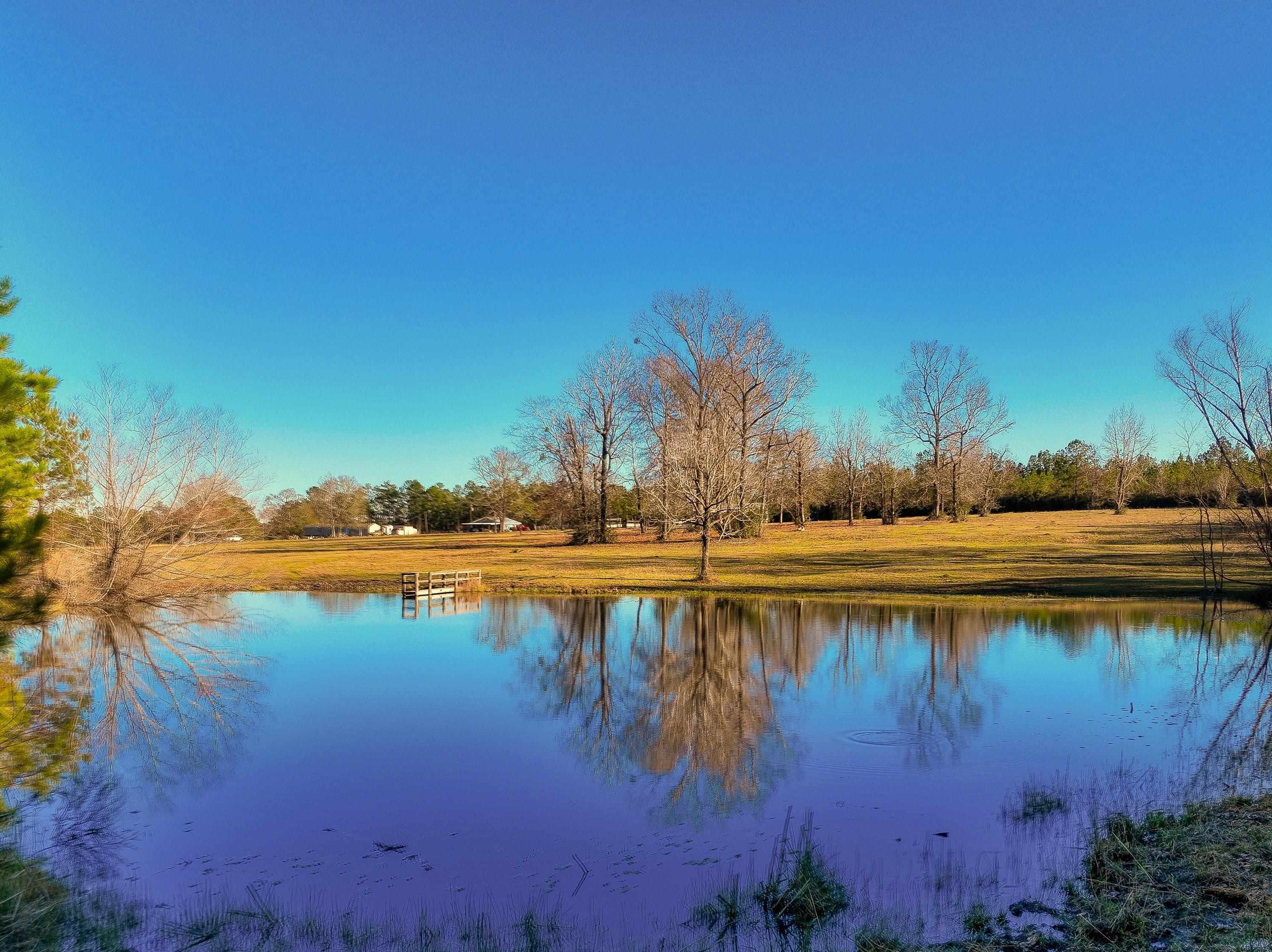 Colmesneil, Tyler County, TX Farms and Ranches, Lakefront Property