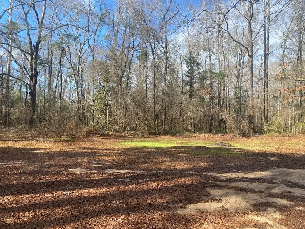 Abbeville, Henry County, AL for sale Property ID 415680034 LandWatch