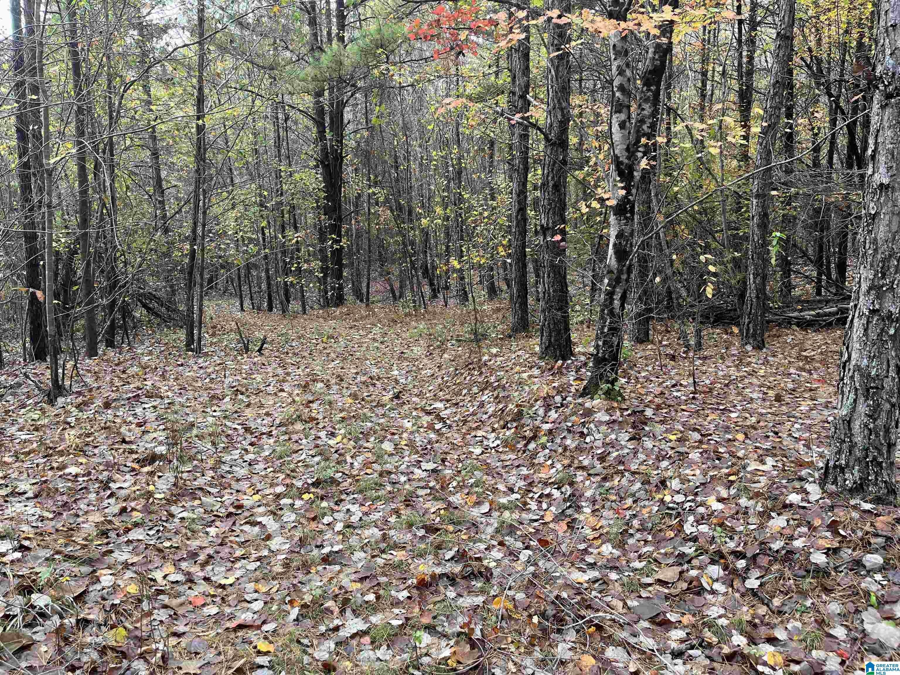 Haleyville, Winston County, AL Farms and Ranches for sale Property ID