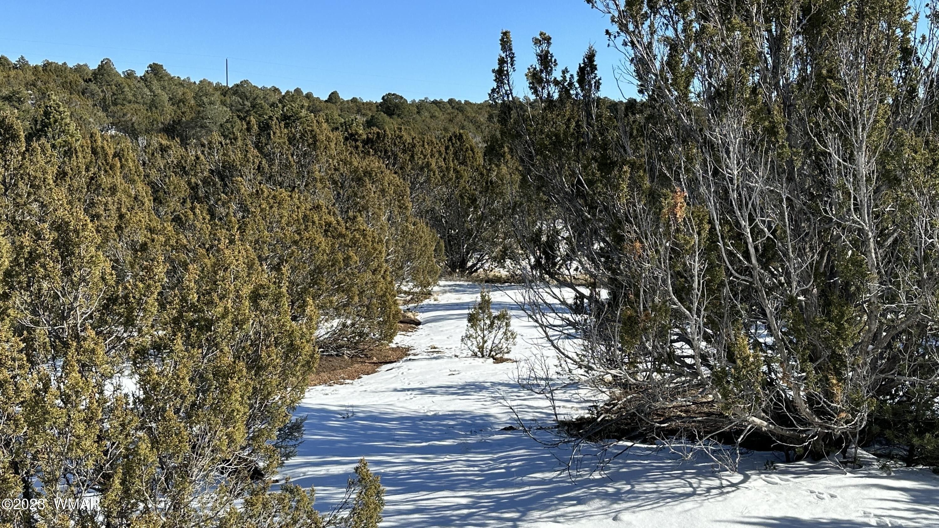 Vernon, Apache County, AZ Lakefront Property, Waterfront Property