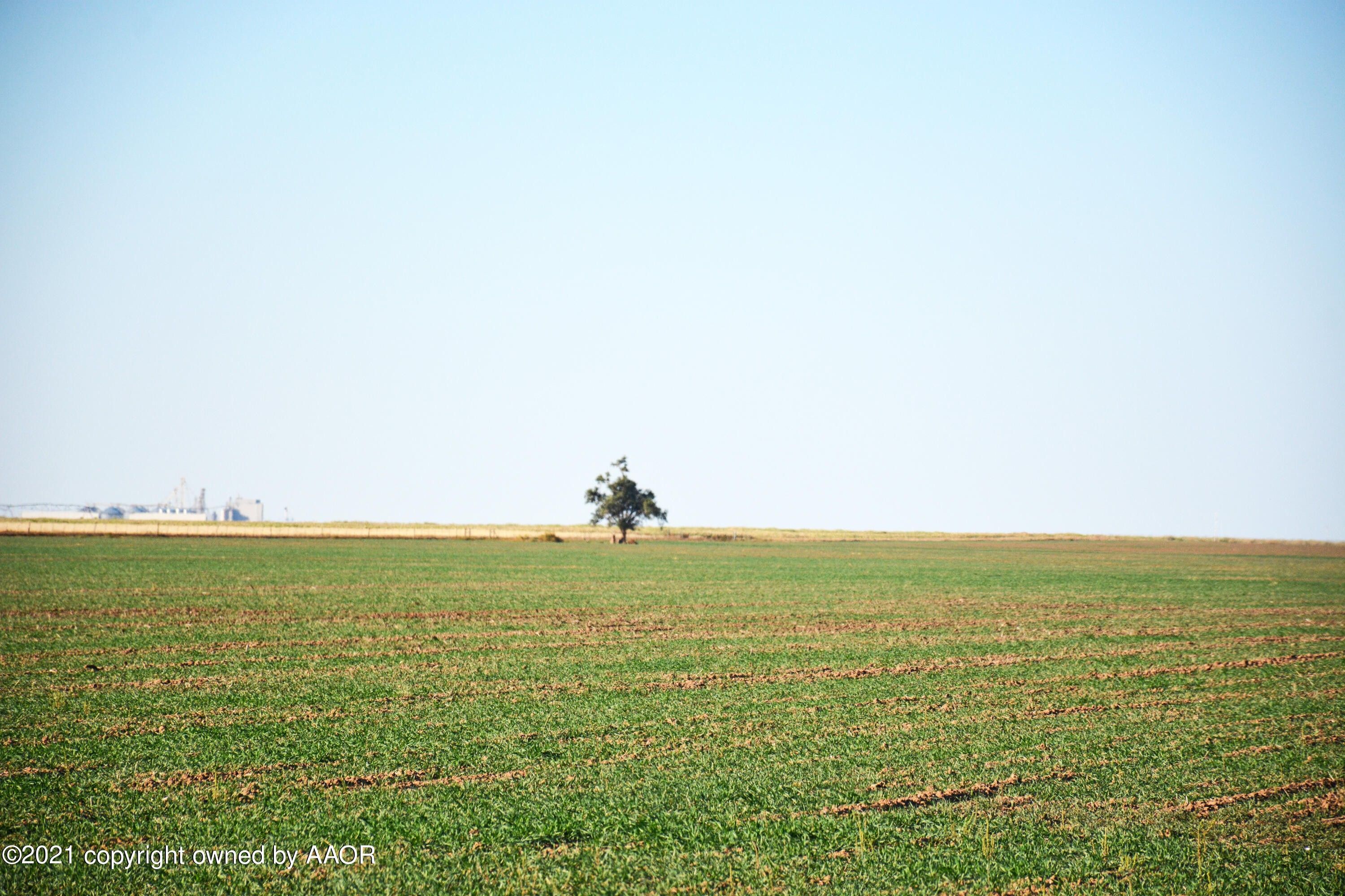 Dawn, Deaf Smith County, TX Farms and Ranches for sale Property ID