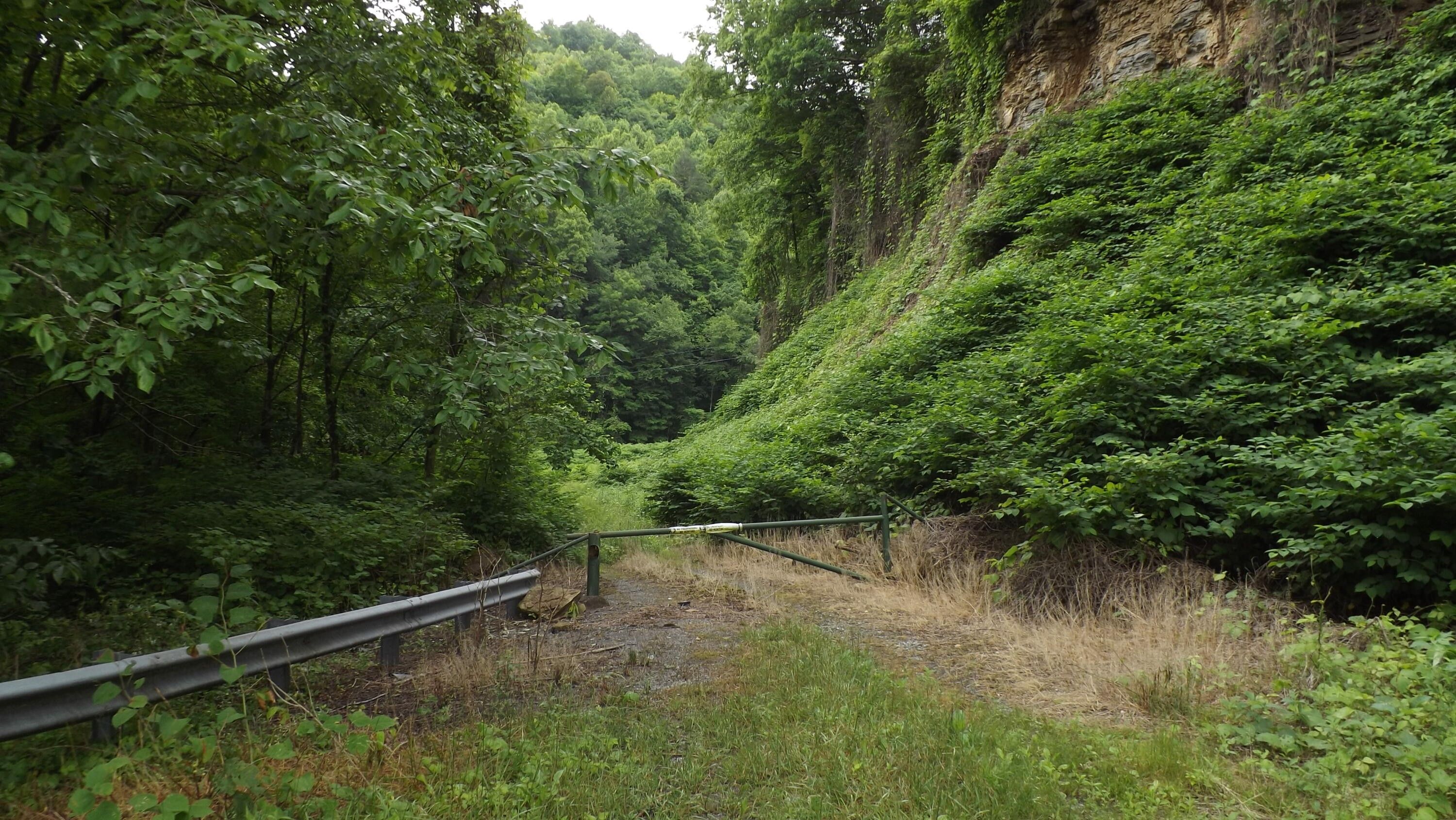 Coeburn, Wise County, VA Farms and Ranches for sale Property ID