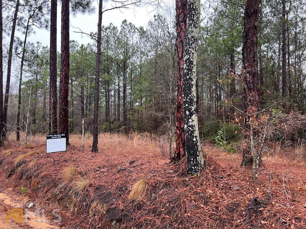 Soperton, Treutlen County, GA Farms and Ranches, Homesites for sale