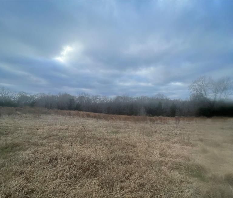 Benton, Yazoo County, MS Undeveloped Land for sale Property ID