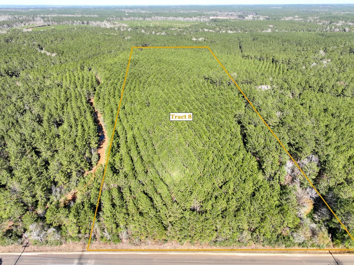 Livingston, Polk County, TX Recreational Property, Hunting Property for sale Property ID