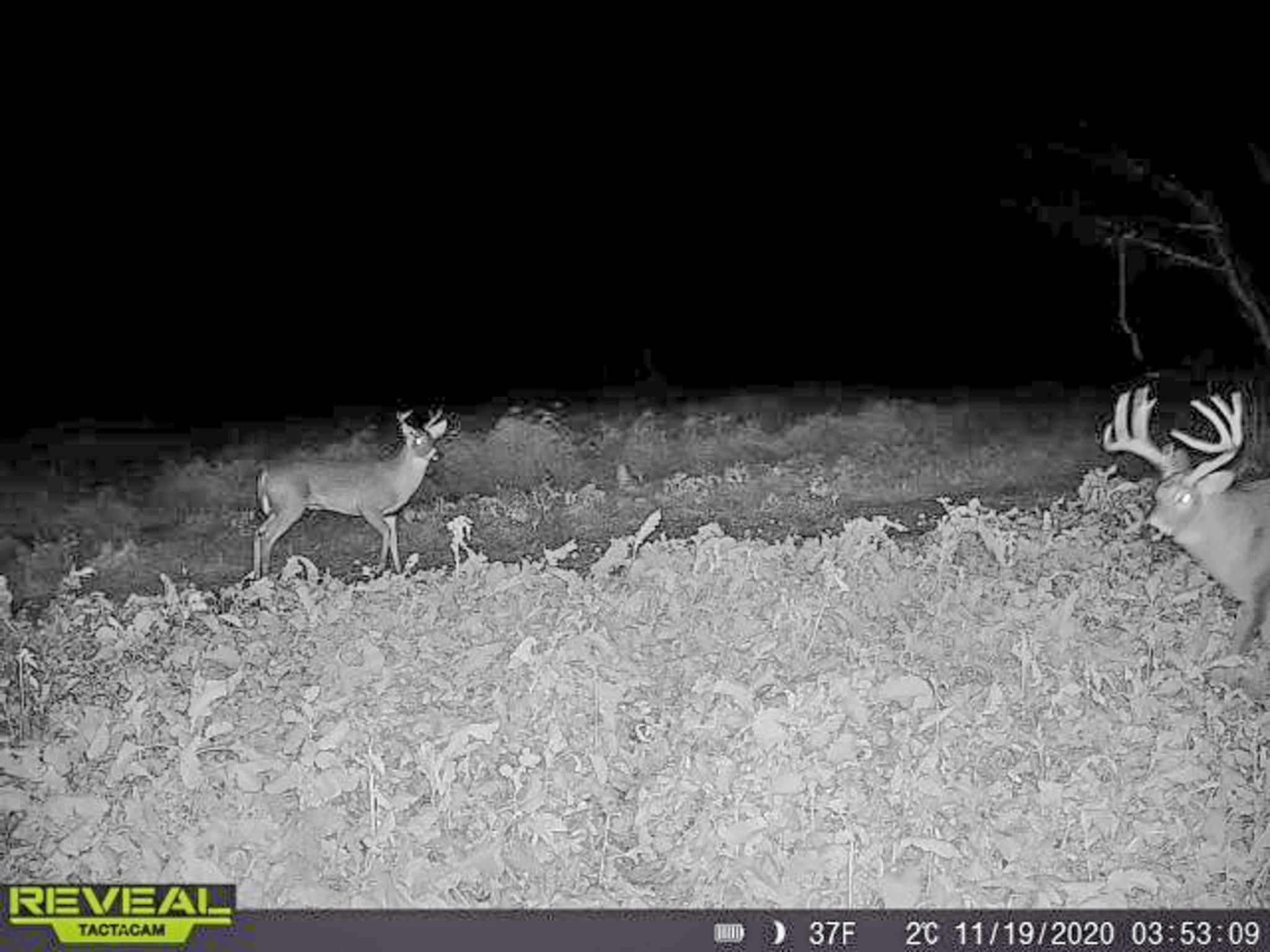 Belgium, Ozaukee County, WI Recreational Property, Undeveloped Land