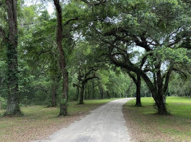 Williston, Levy County, FL Recreational Property, Hunting Property for