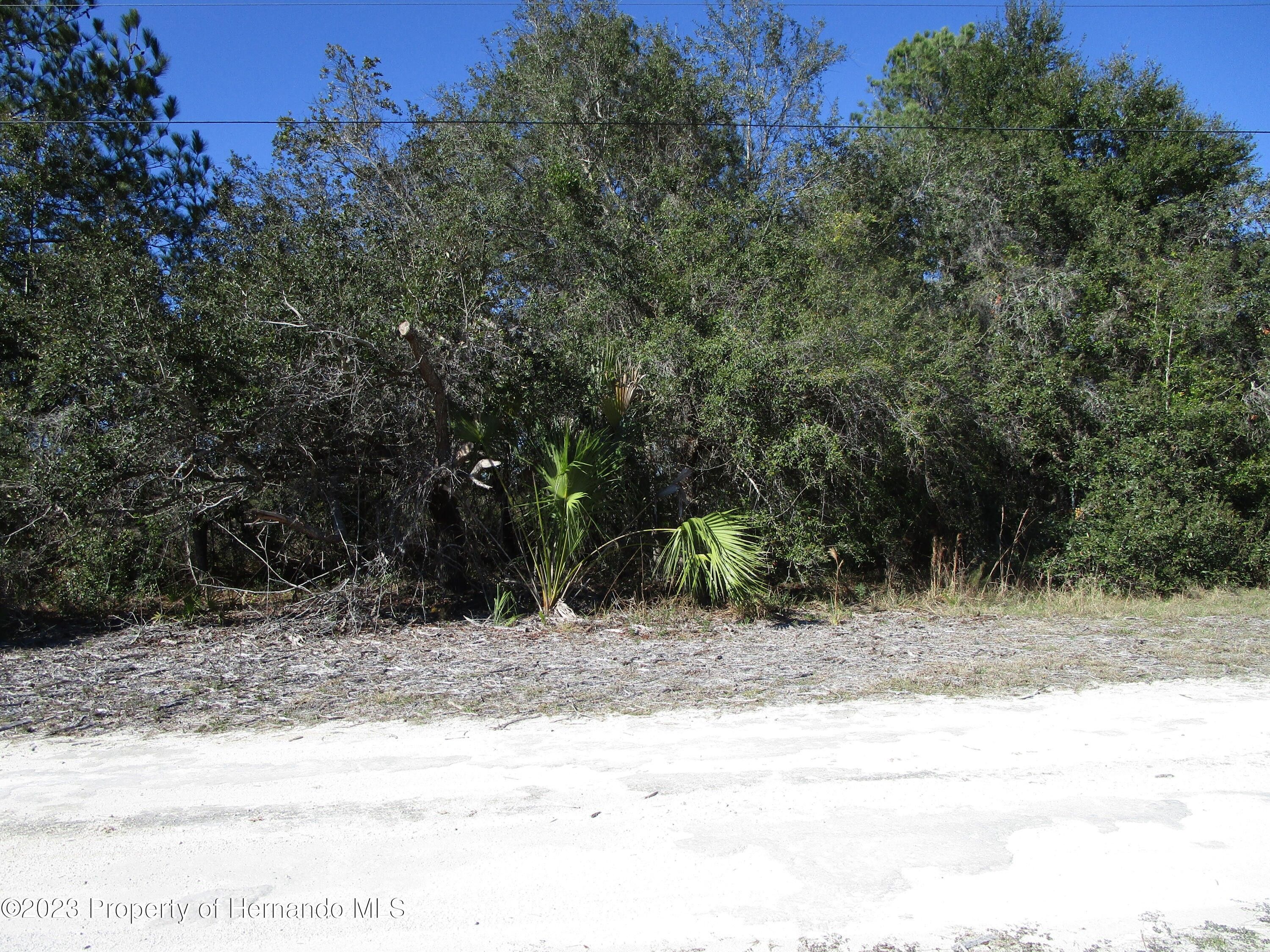 Weeki Wachee, Hernando County, FL Undeveloped Land, Homesites for sale