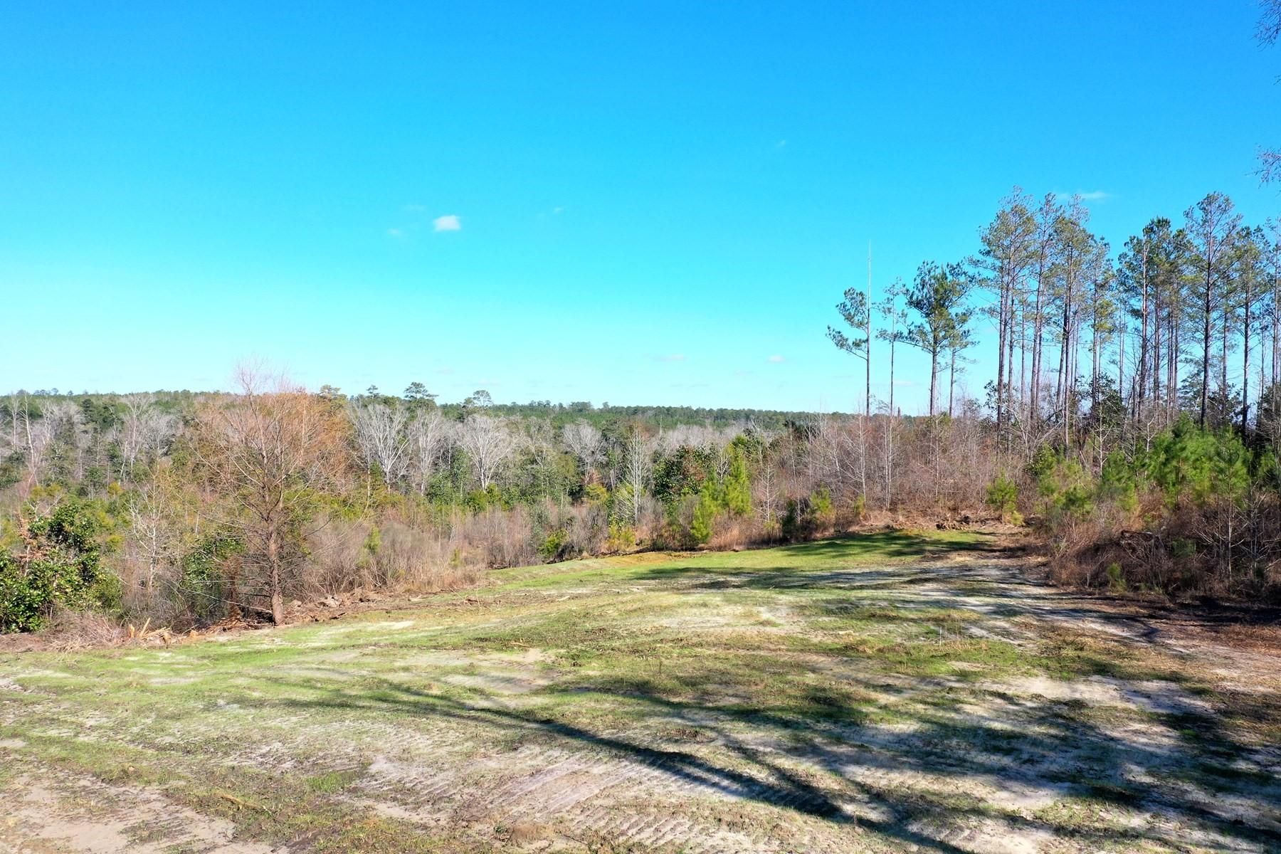 Rutledge, Crenshaw County, AL Hunting Property for sale Property ID
