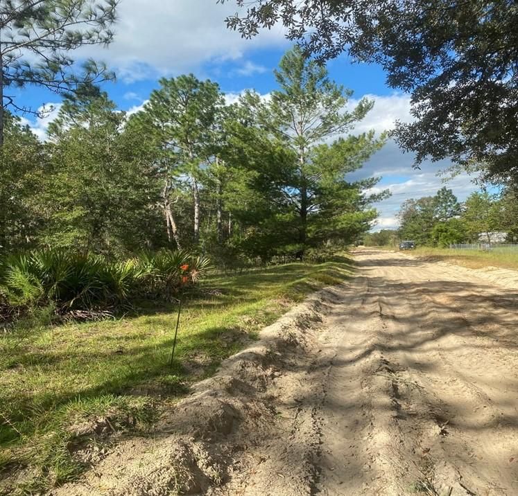 Interlachen, Putnam County, FL Recreational Property, Undeveloped Land