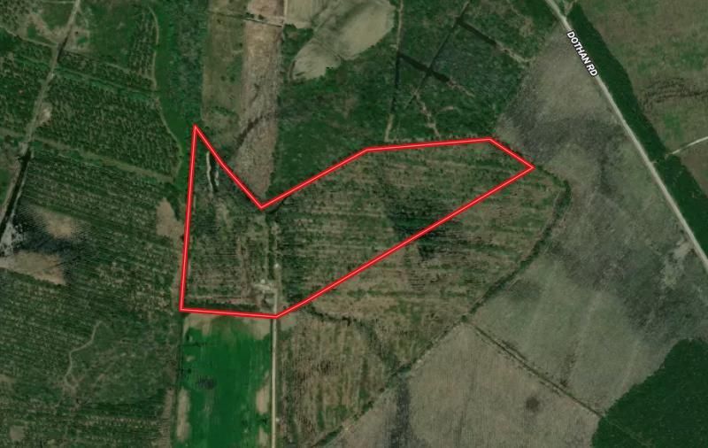 Tabor City, Columbus County, NC Recreational Property, Timberland