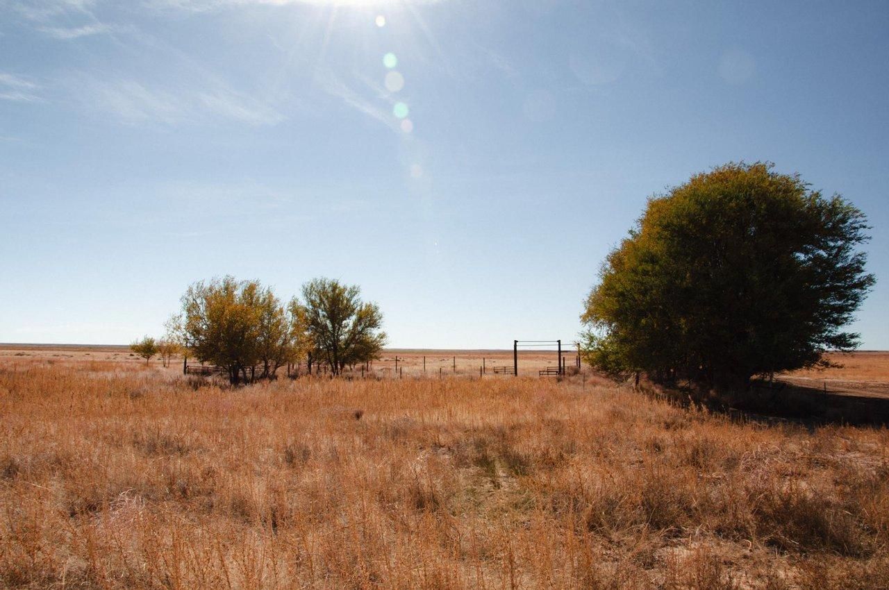 Walsh, Baca County, CO Farms and Ranches, Recreational Property