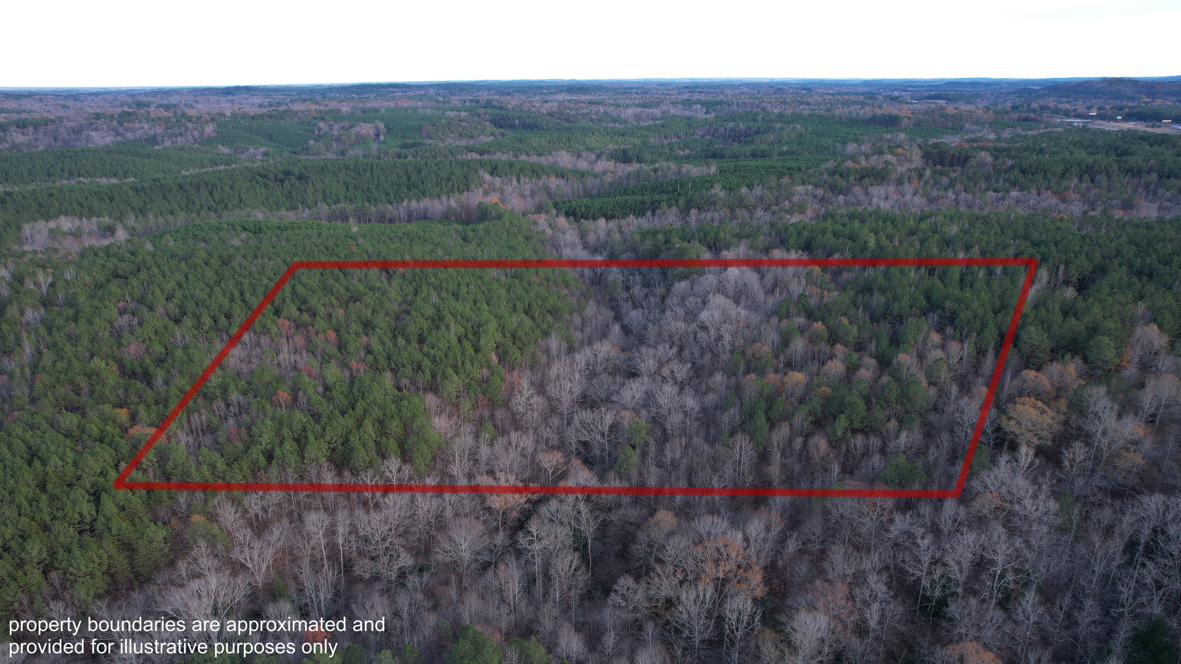 Nauvoo, Walker County, AL Recreational Property, Undeveloped Land, Hunting Property for sale