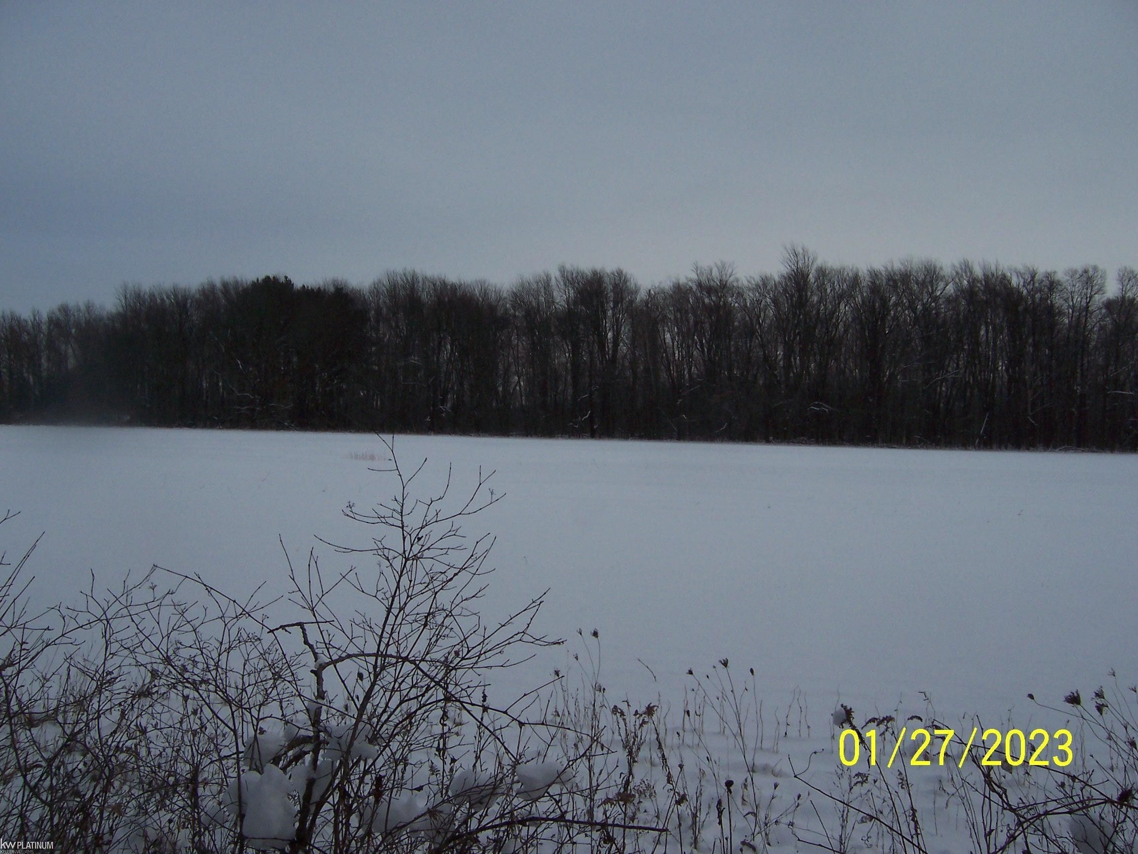 Goodells, Saint Clair County, MI Undeveloped Land for sale Property ID