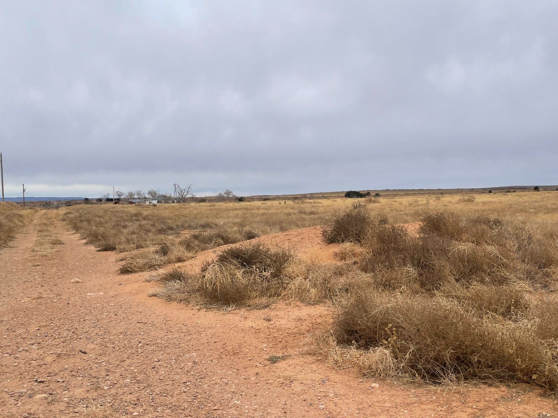 Tucumcari, Quay County, NM Undeveloped Land for sale Property ID