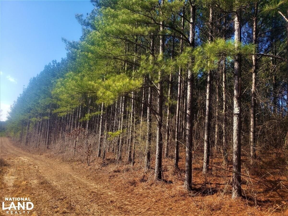 Brilliant, Marion County, AL Farms and Ranches, Recreational Property, Hunting Property for sale