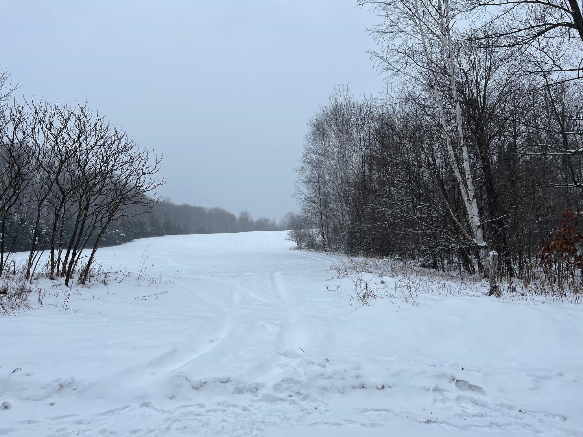 Pound, Oconto County, WI Undeveloped Land for sale Property ID