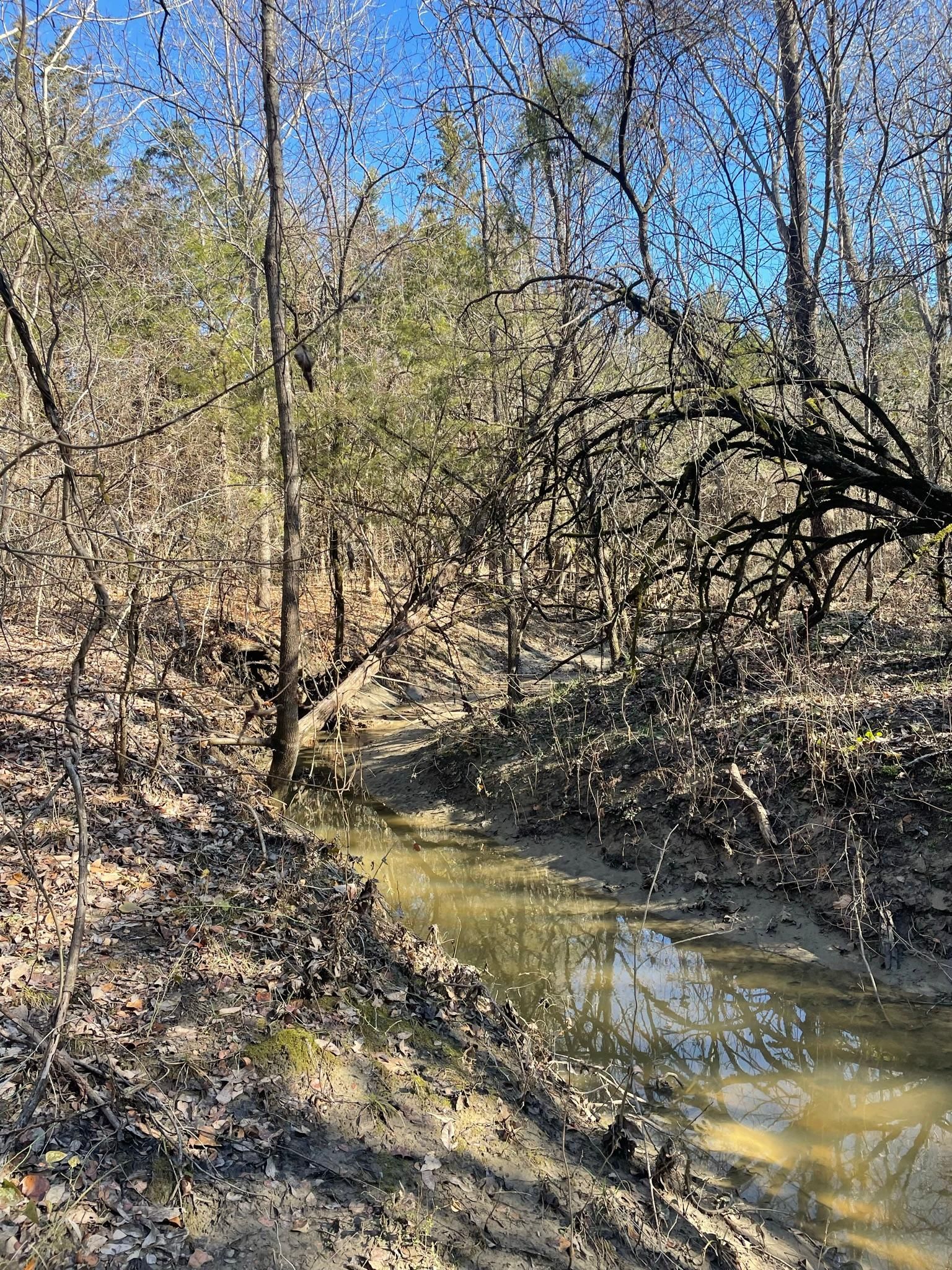 Honey Grove, Fannin County, TX Recreational Property, Undeveloped Land