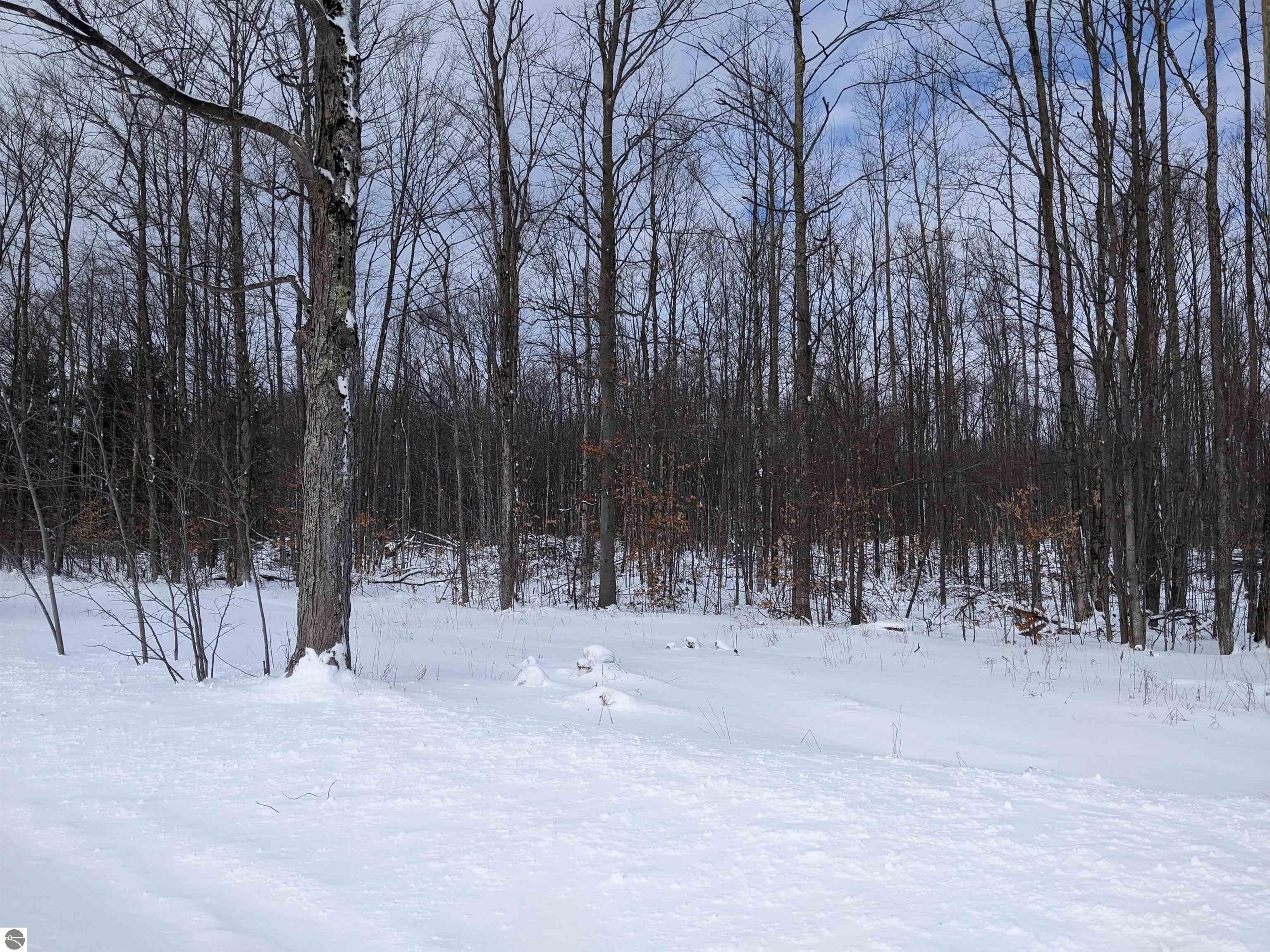 Mancelona, Antrim County, MI Farms and Ranches for sale Property ID 415693311 LandWatch