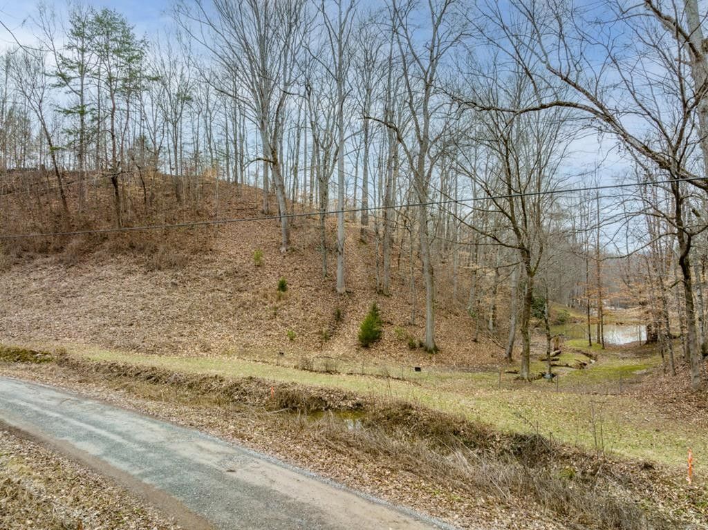 Sevierville, Sevier County, TN Farms and Ranches, Homesites for sale