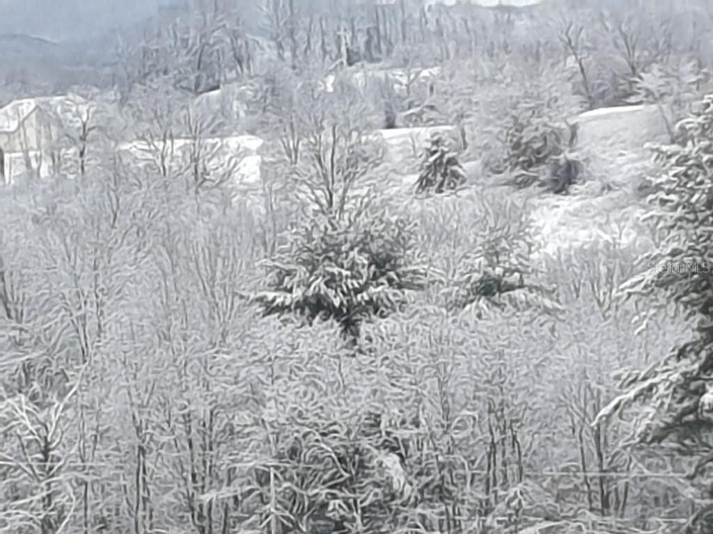 Fombell, Beaver County, PA Farms and Ranches for sale Property ID