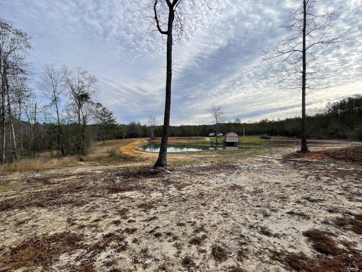 State Line, Wayne County, MS Recreational Property, Timberland Property, Hunting Property