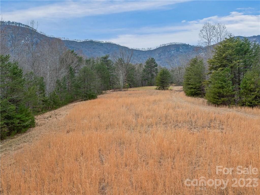 Lake Lure, Rutherford County, NC Farms and Ranches for sale Property ID