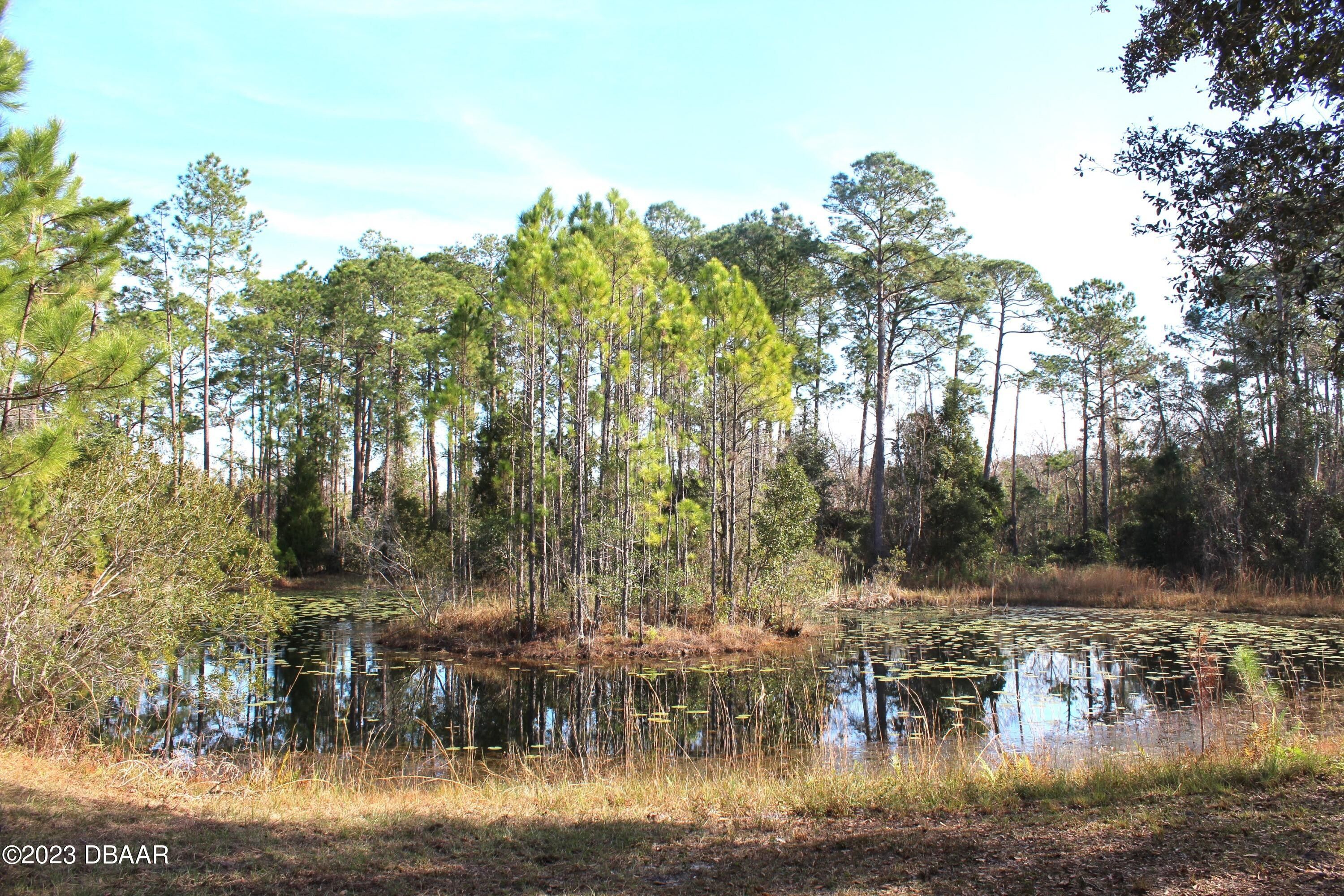 Pierson, Volusia County, FL Undeveloped Land, Homesites for sale
