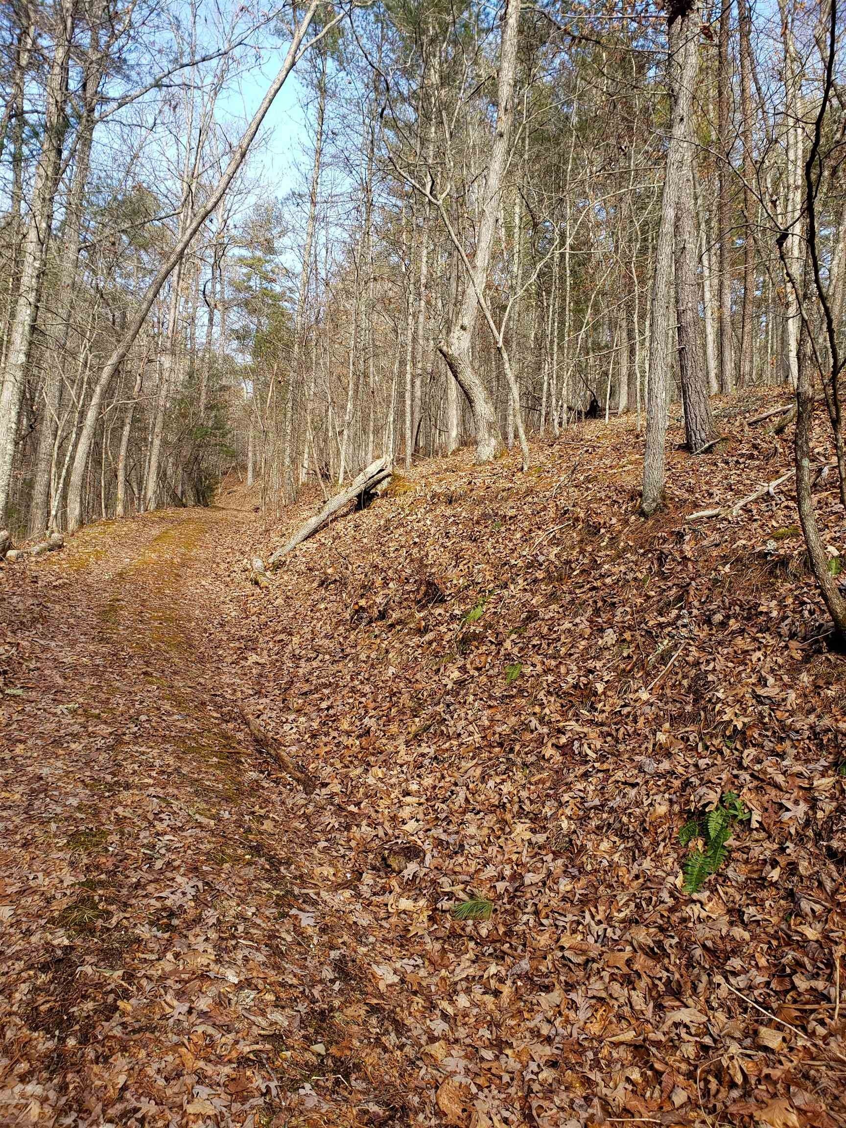 Warm Springs, Bath County, VA for sale Property ID 415653890 LandWatch