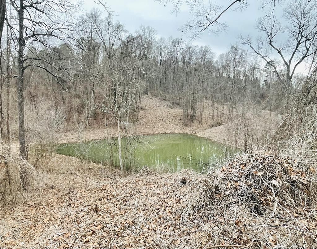 New Albany, Union County, MS Undeveloped Land, Lakefront Property