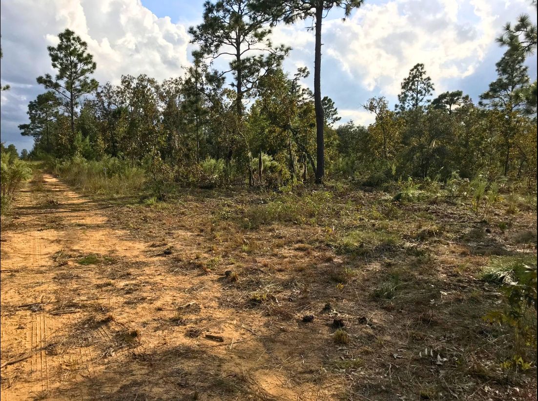 Interlachen, Putnam County, FL Recreational Property, Undeveloped Land, Homesites for sale