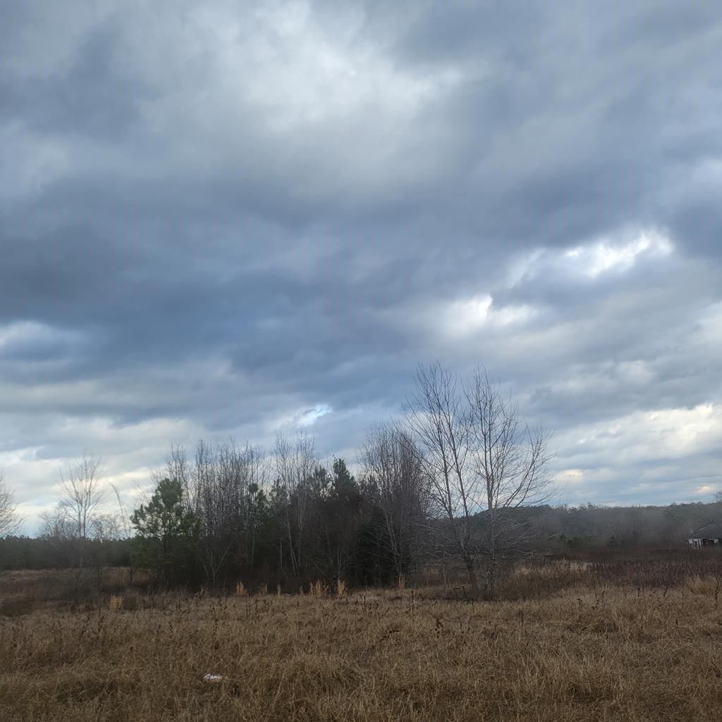 Sumter, Sumter County, SC Farms and Ranches, Homesites for sale