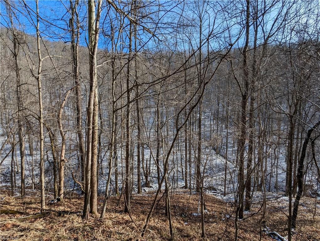 Arnoldsburg, Calhoun County, WV Undeveloped Land, Lakefront Property