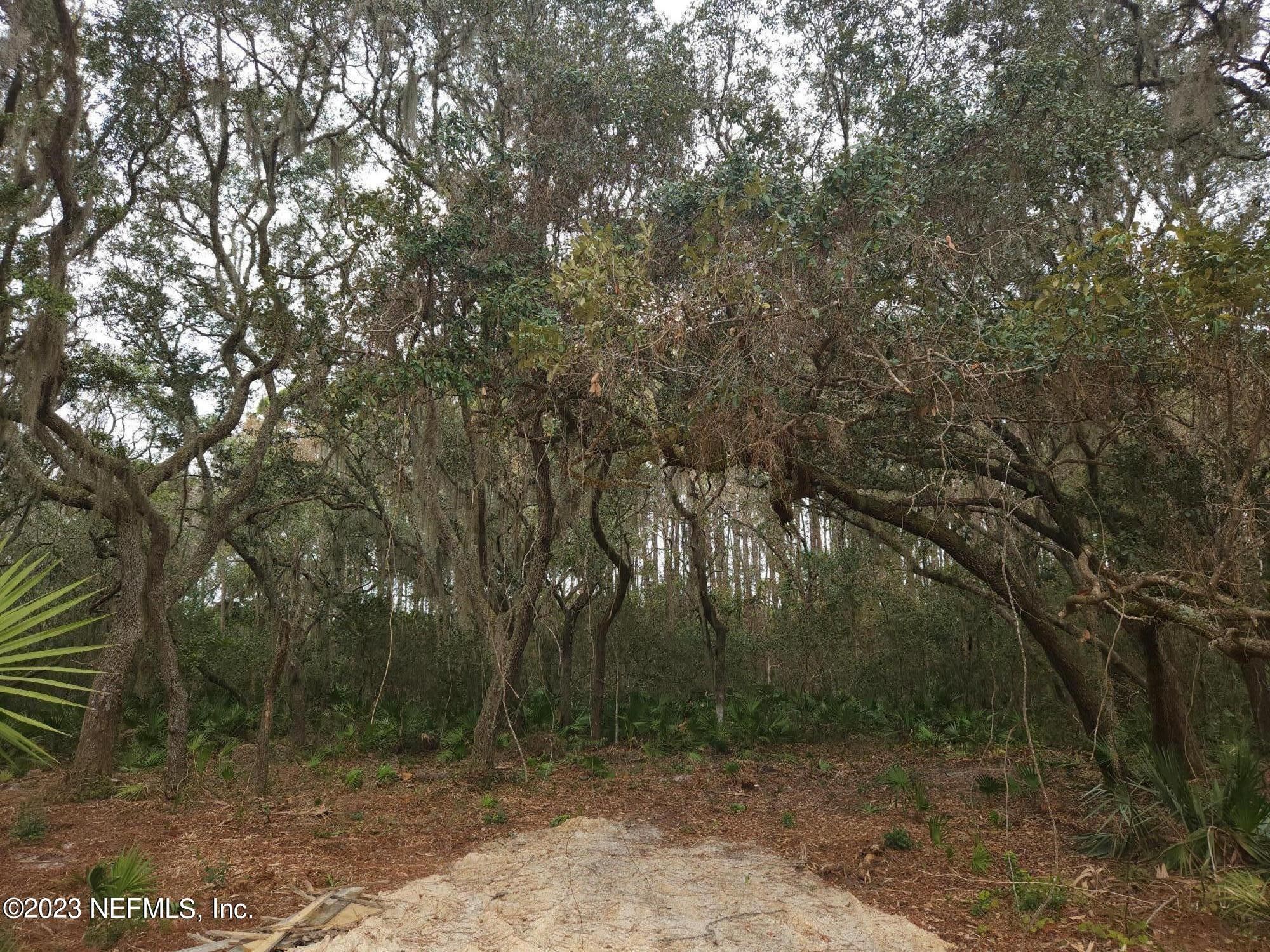 Putnam County, FL Undeveloped Land, Homesites for sale