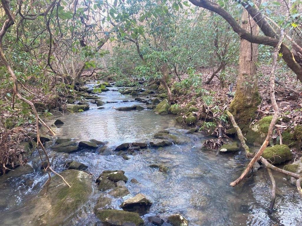 Crossville, Cumberland County, TN Undeveloped Land, Lakefront Property, Waterfront Property for