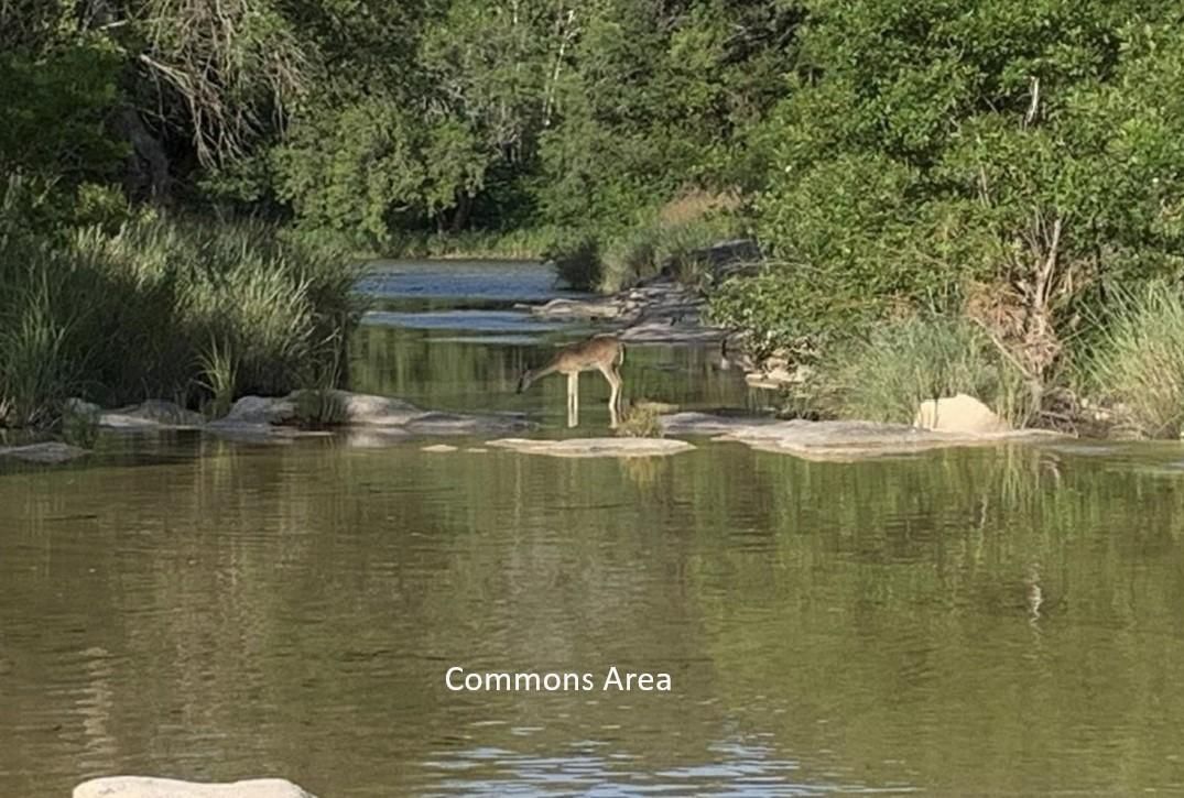 Lampasas, Lampasas County, TX Recreational Property, Hunting Property